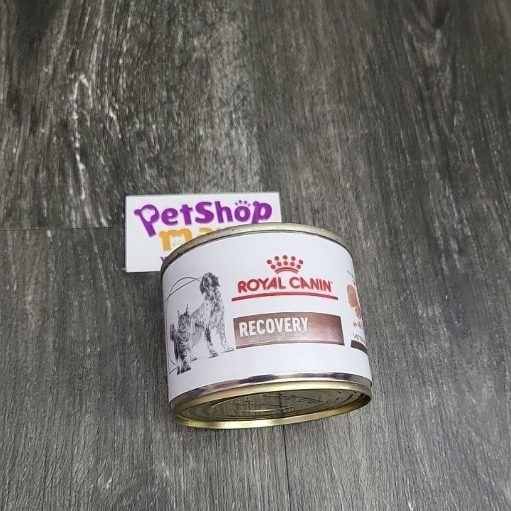 Royal Canin Recovery Wet Food