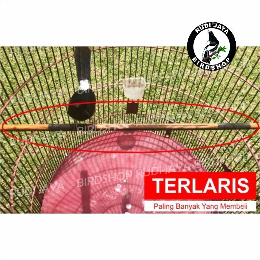 JUAL TANGKRINGAN MURAI AMPLAS EBOD JAYA 1 PAK ISI 10 PCS KAYU JATI UNTUK SANGKAR KANDANG BULAT MURAI