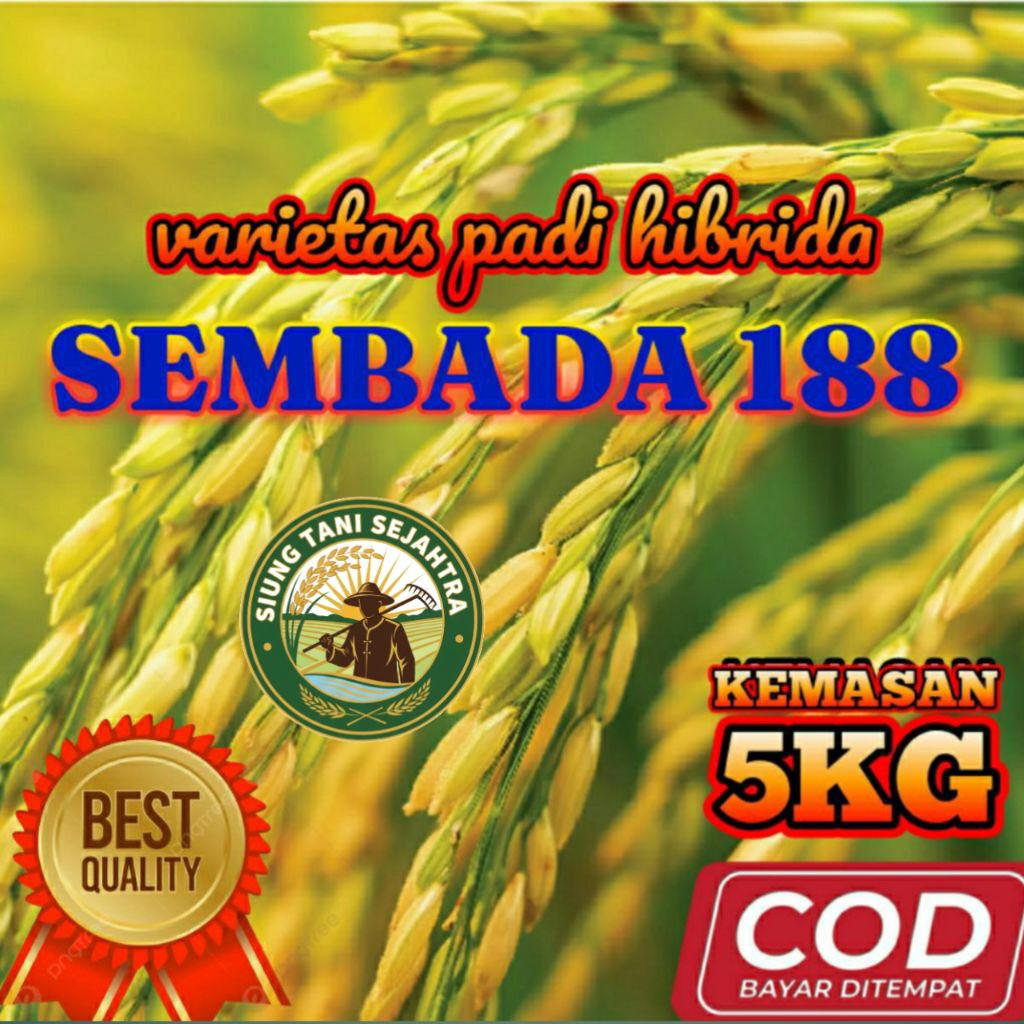 BENIH BIBIT PADI HIBRIDA SEMBADA 188 UNGGUL BERKUALITAS KEMASAN 5 KG