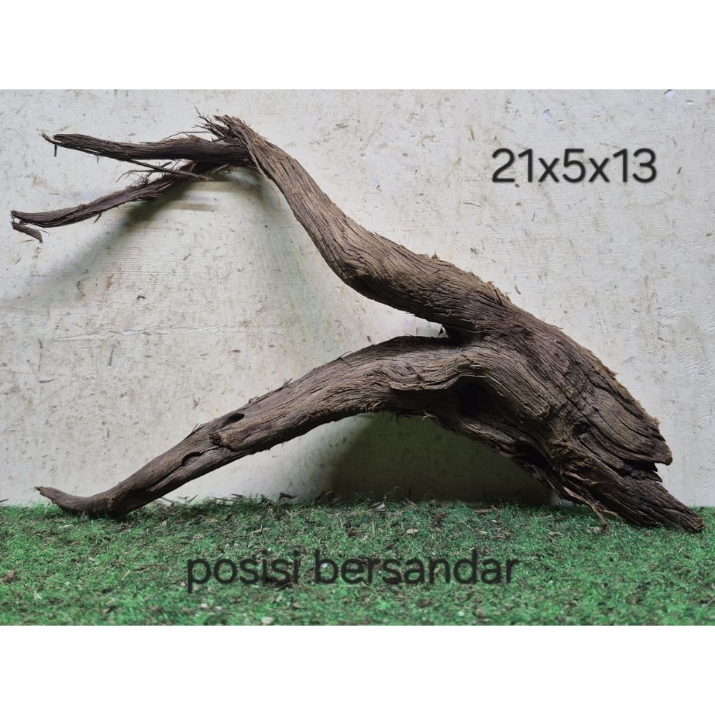 Kayu Santigi Laut Kecil 21cm Kayu Tenggelam Aquascape Aquarium Taman 21x5x13 T