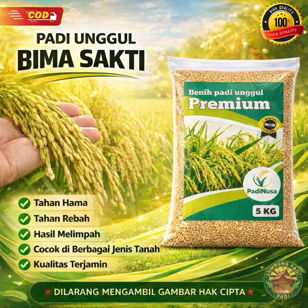 Benih padi BIMA SAKTI bibit padi premium 1-5 KG benih padi unggul berkualitas