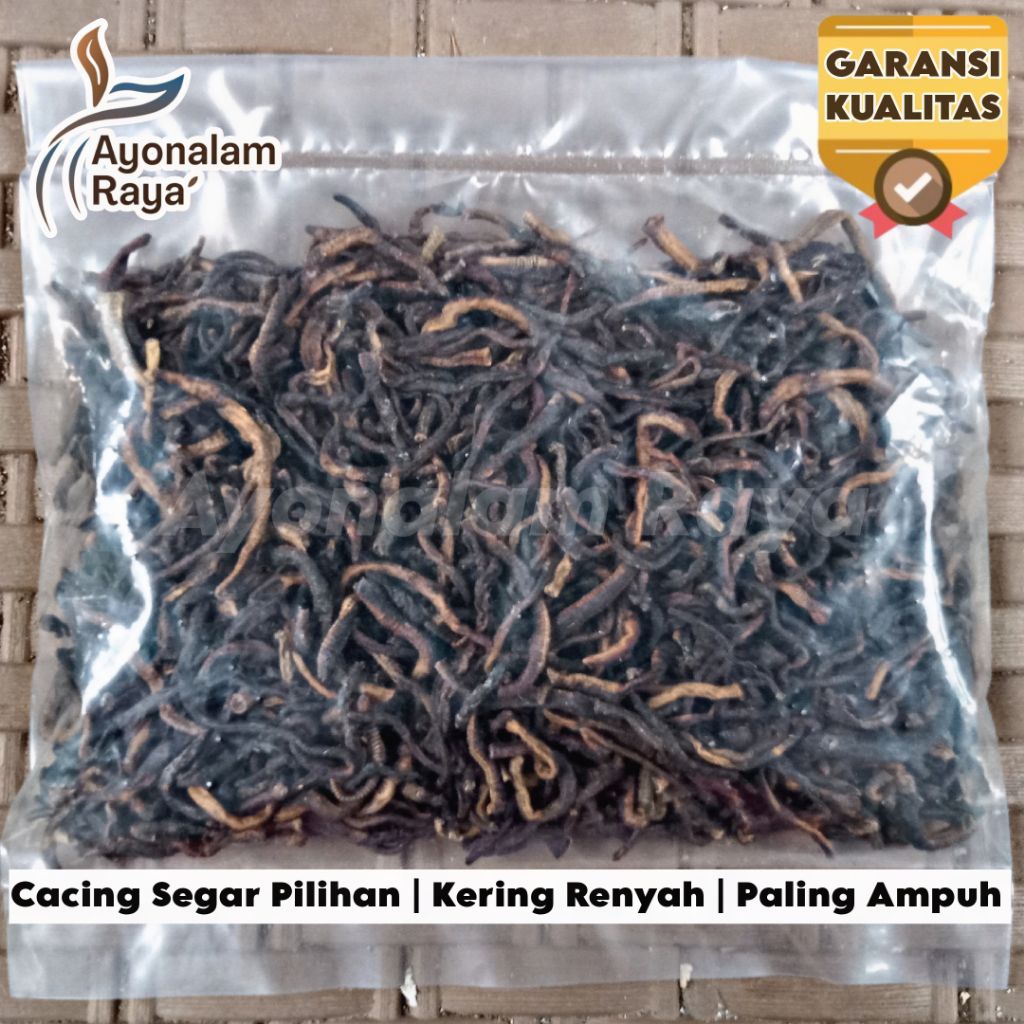 Cacing Kering 1 Kg | Cacing Tanah Kering 1Kg Asli Ampuh