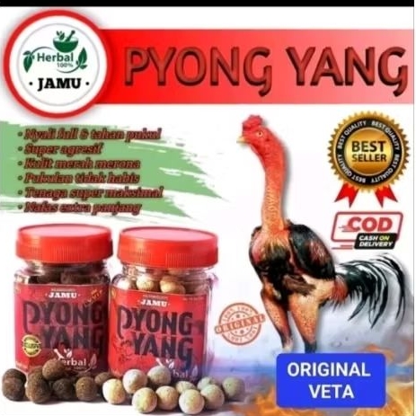 (TERLARISS) JAMU pyongyang ayam laga doping super kuat agresif nafas panjang