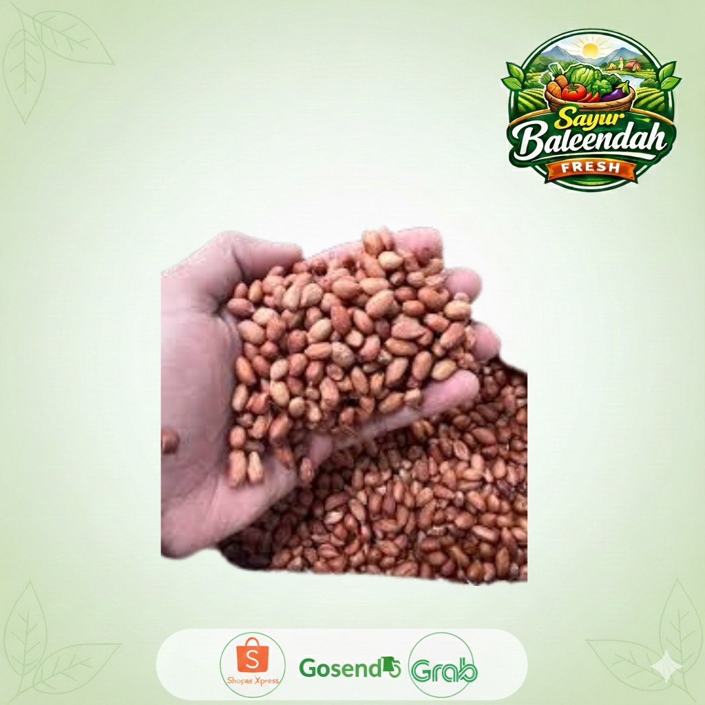 KACANG TANAH OB MENTAH 250gr / 500gr (1/2 Kg) Kualitas Super Kacang OB Grosir Kiloan Termurah