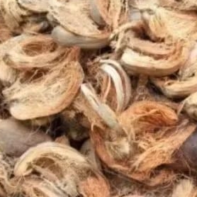 sabut kelapa segar 1kg - sabut kelapa Jambi , Tanjab timur