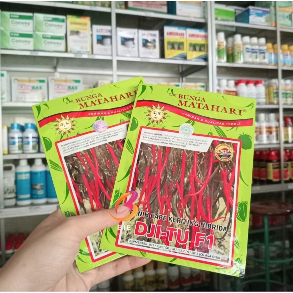 Benih Cabe Keriting Hibrida DJITU F1