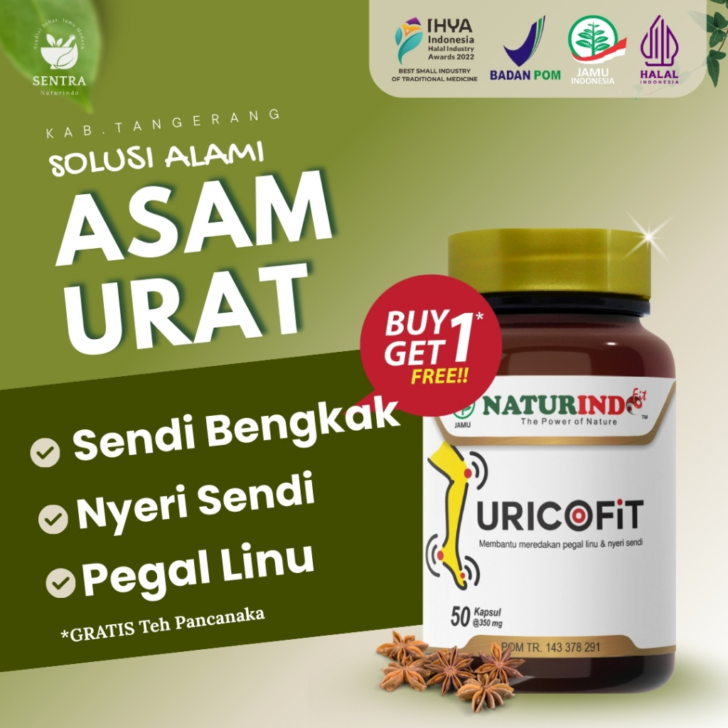 Asam Urat Tinggi Nyeri Sendi | Jamu Alami Asam Urat & Sendi | Bantu Mengurangi Asam Urat & Nyeri Per