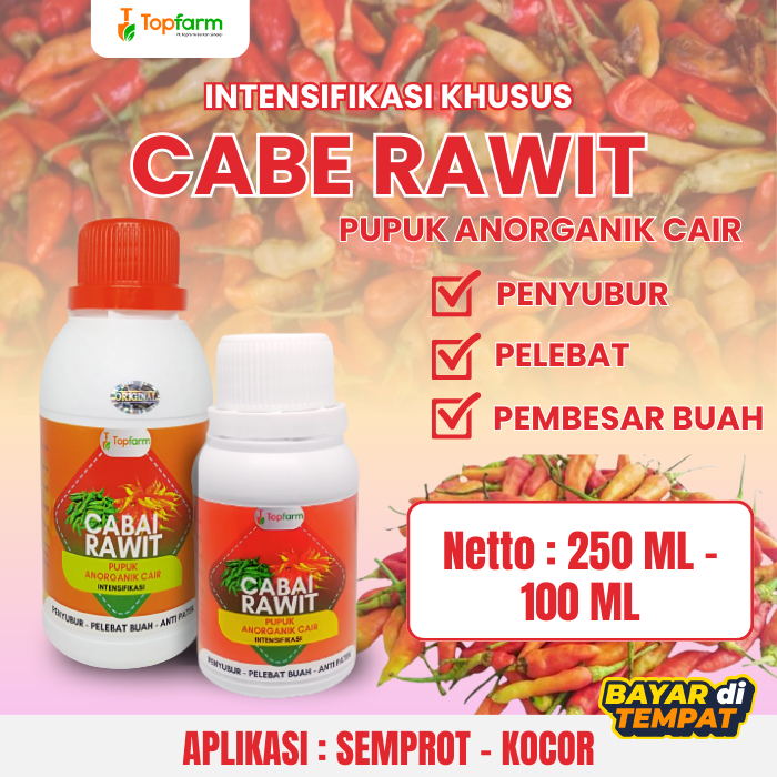 Pupuk pelebat buah cabe rawit / Pupuk penyubur tanaman cabe rawit / Pupuk cabai rawit terbaik / Pupu
