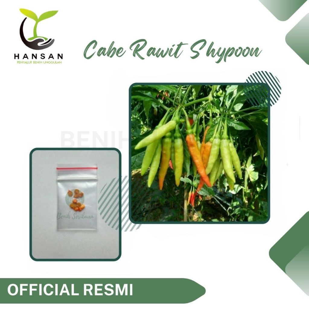 10 Bibit Cabe Rawit Shypoon Buah Bergerombol Benih Sayuran Cabai Rawit