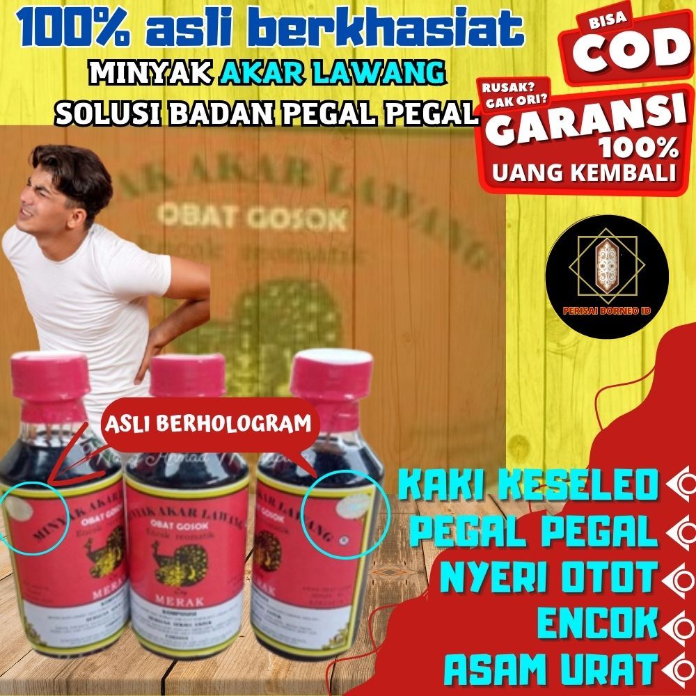 [Original] Minyak Urut Pijat Akar Lawang Mengobati Saraf Kejepit Patah Tulang Stroke | Akar Lawang D