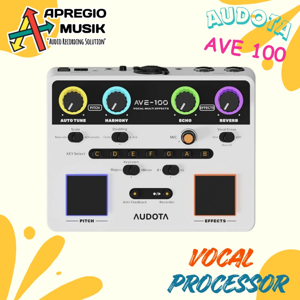 Audota AVE 100 AVE100 Vocal Multi Effects Processor Efek Vocal bukan TC helicon perform V VG