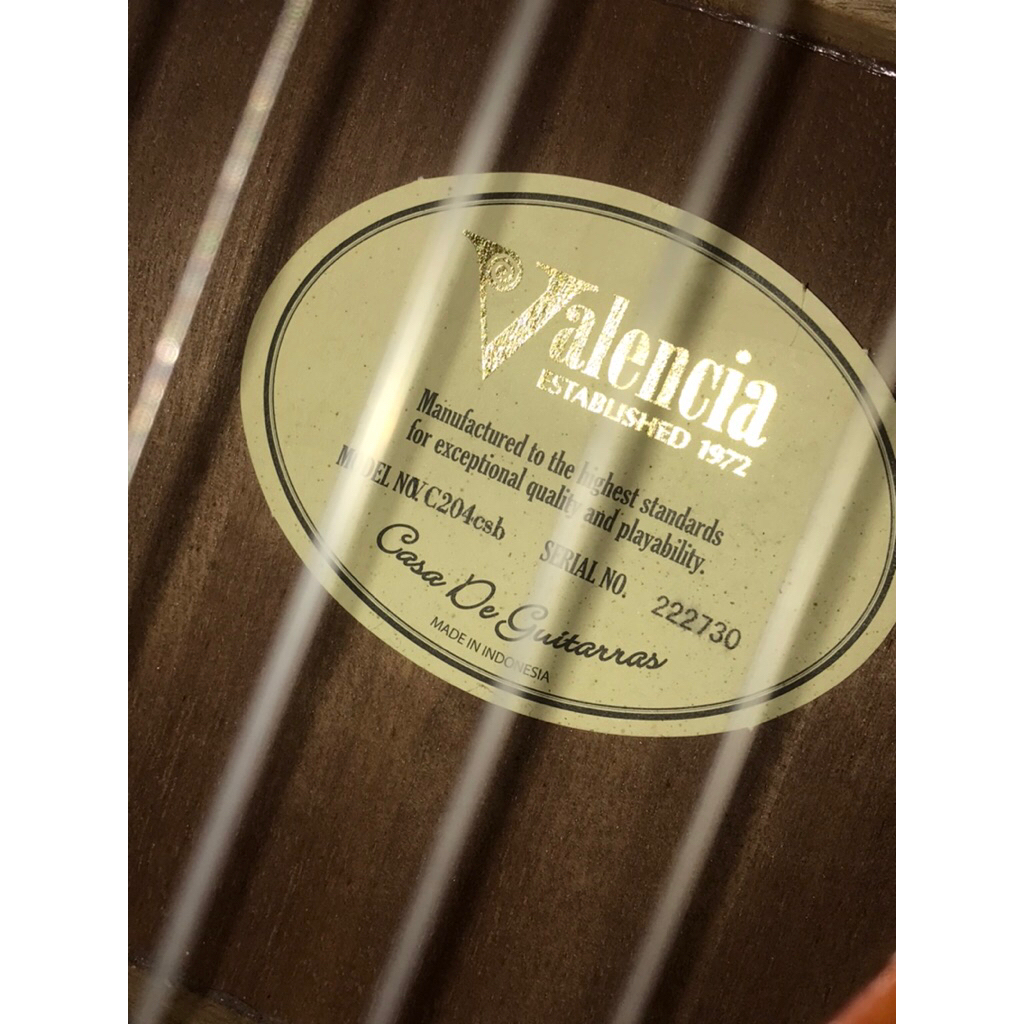 gitar valencia VC204CSB