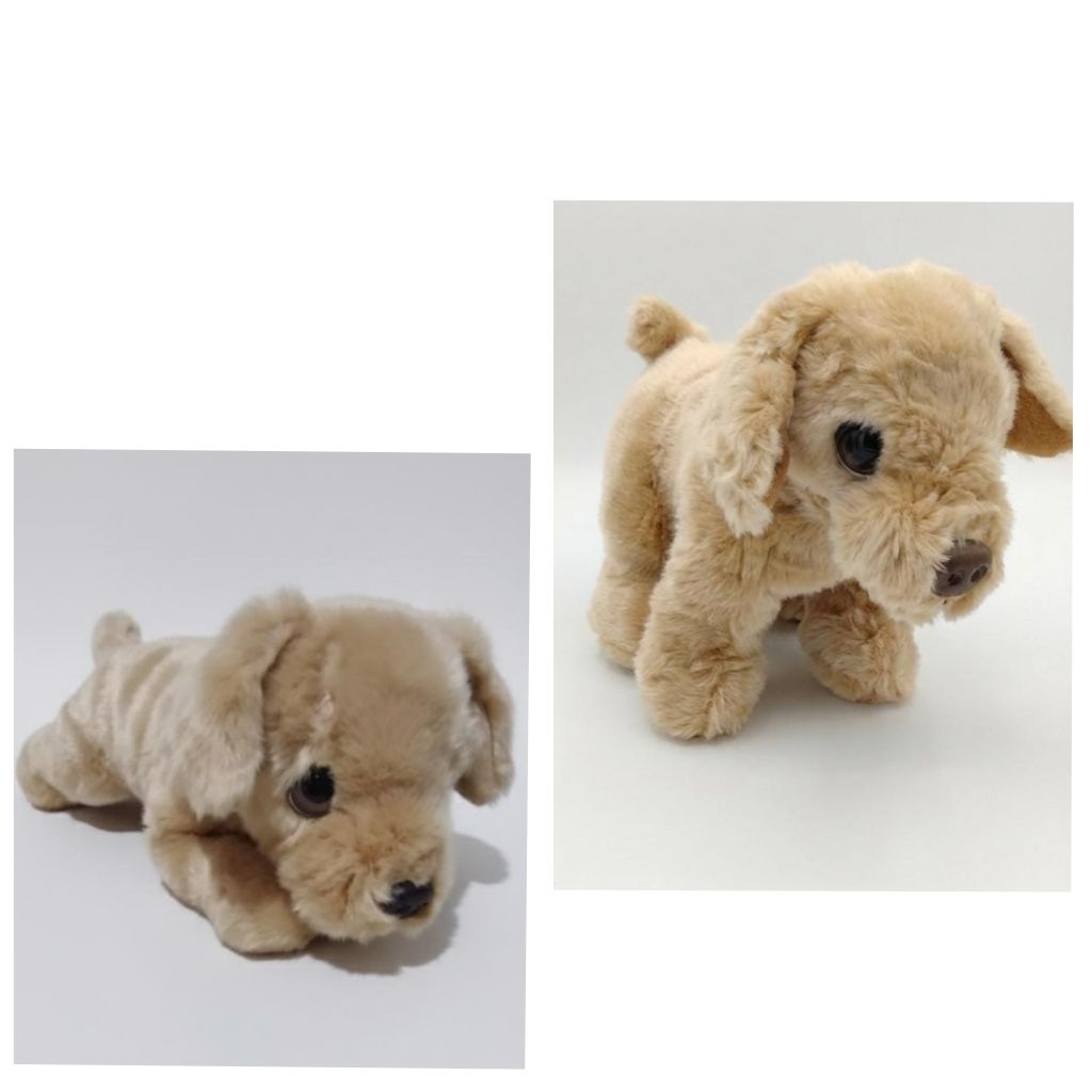 Boneka Anak Anjing Golden Labrador / Keel Toys Signature Cuddle Puppies Golden Lab