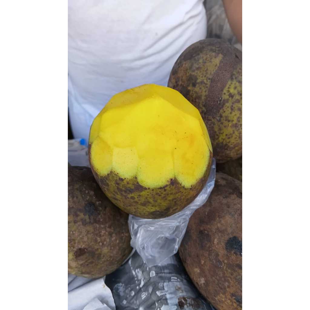 Buah Bacang Segar 1kg