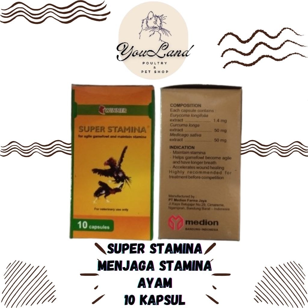 Winner Super Stamina Ayam Medion 10 Kapsul Menjaga Stamina Ayam Laga