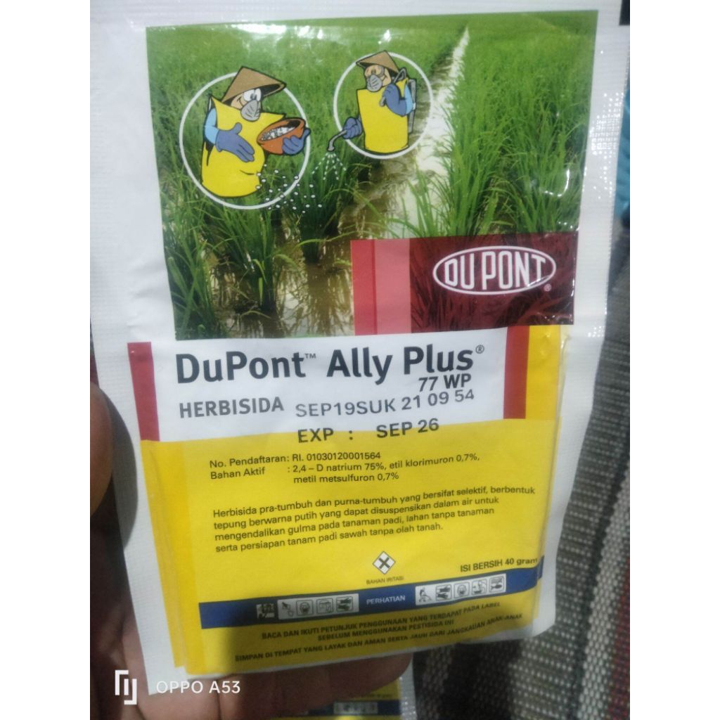 Dupont Ally plus 77 wp 40 gram