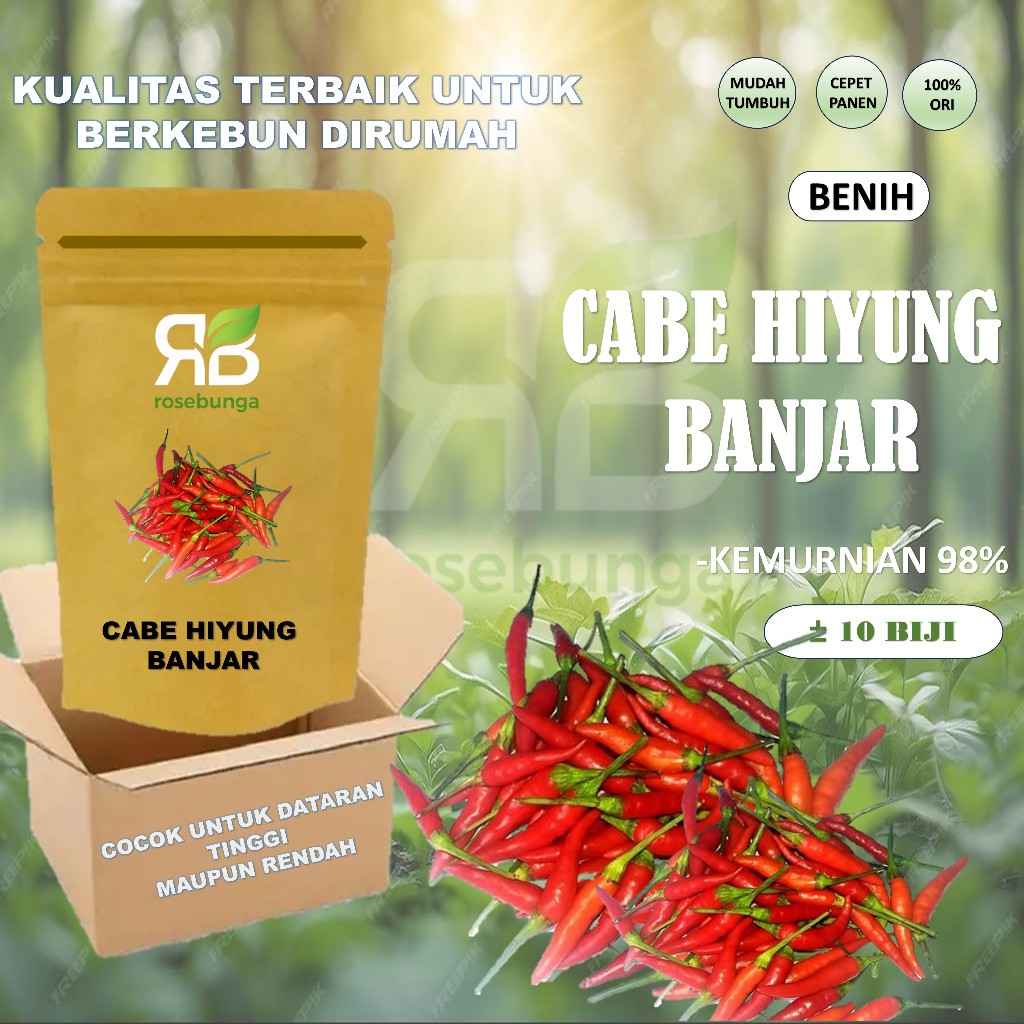 isi paket 10 Benih Biji Cabe Hiyung Banjar -RSB1990