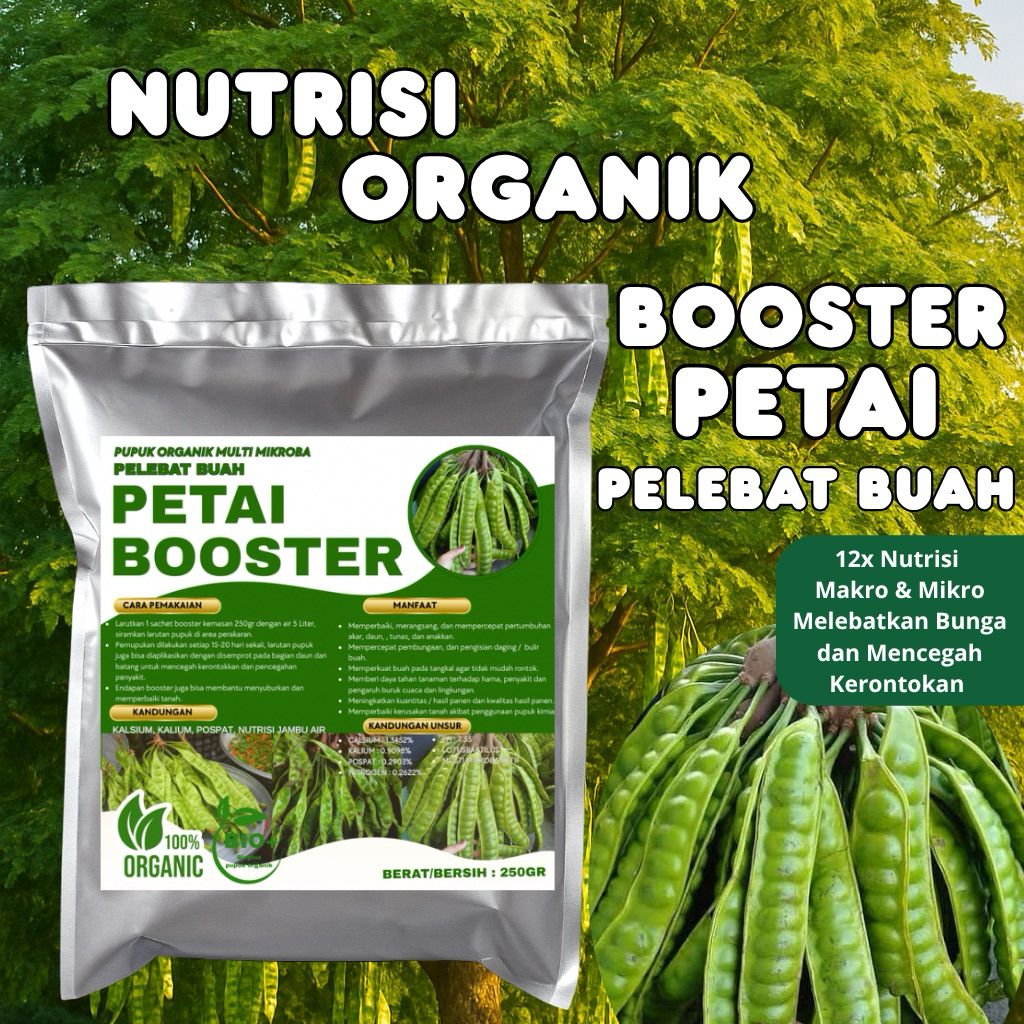 PUPUK BOOSTER PETAI Original Cepat Berbuah Lebat Perangsang PETAI Besar Anti Rontok