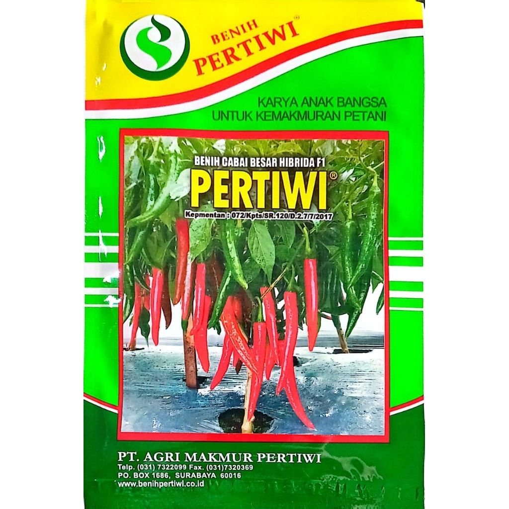 benih cabe besar hibrida F1 PERTIWI isi 10 gram