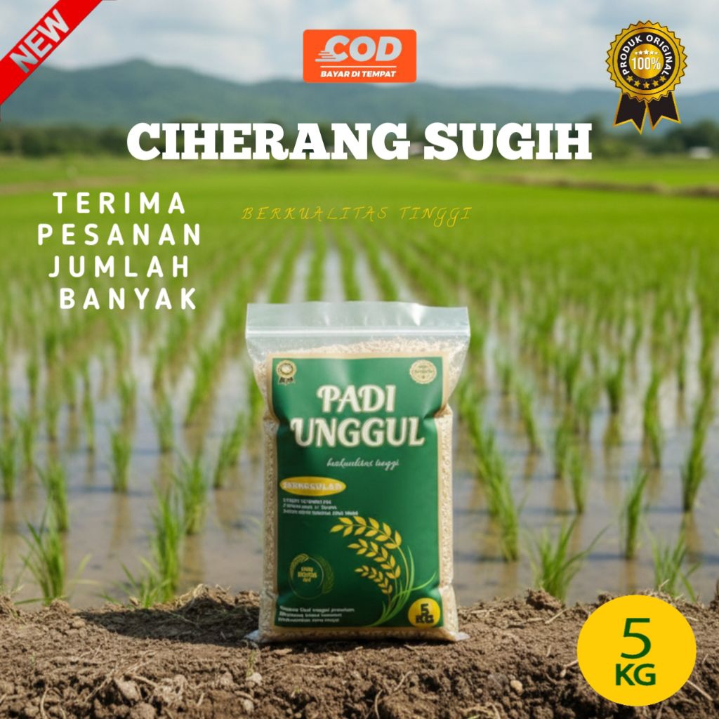 BENIH PADI CIHERANG SUGIH 5KG BIBIT PADI CISUGIH ORIGINAL SUPER PREMIUM
