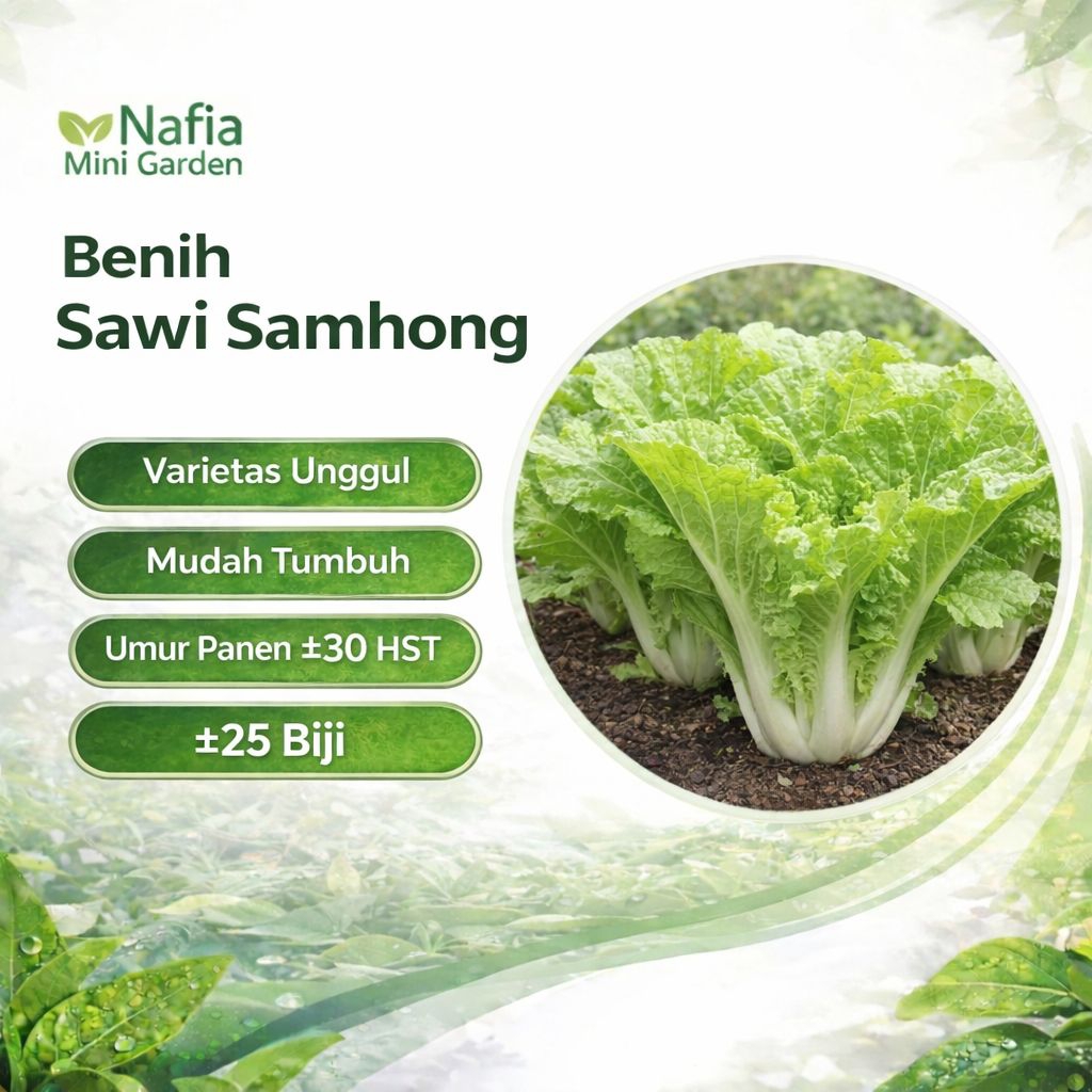 Benih Sawi Samhong 25 Biji Sawi Keriting