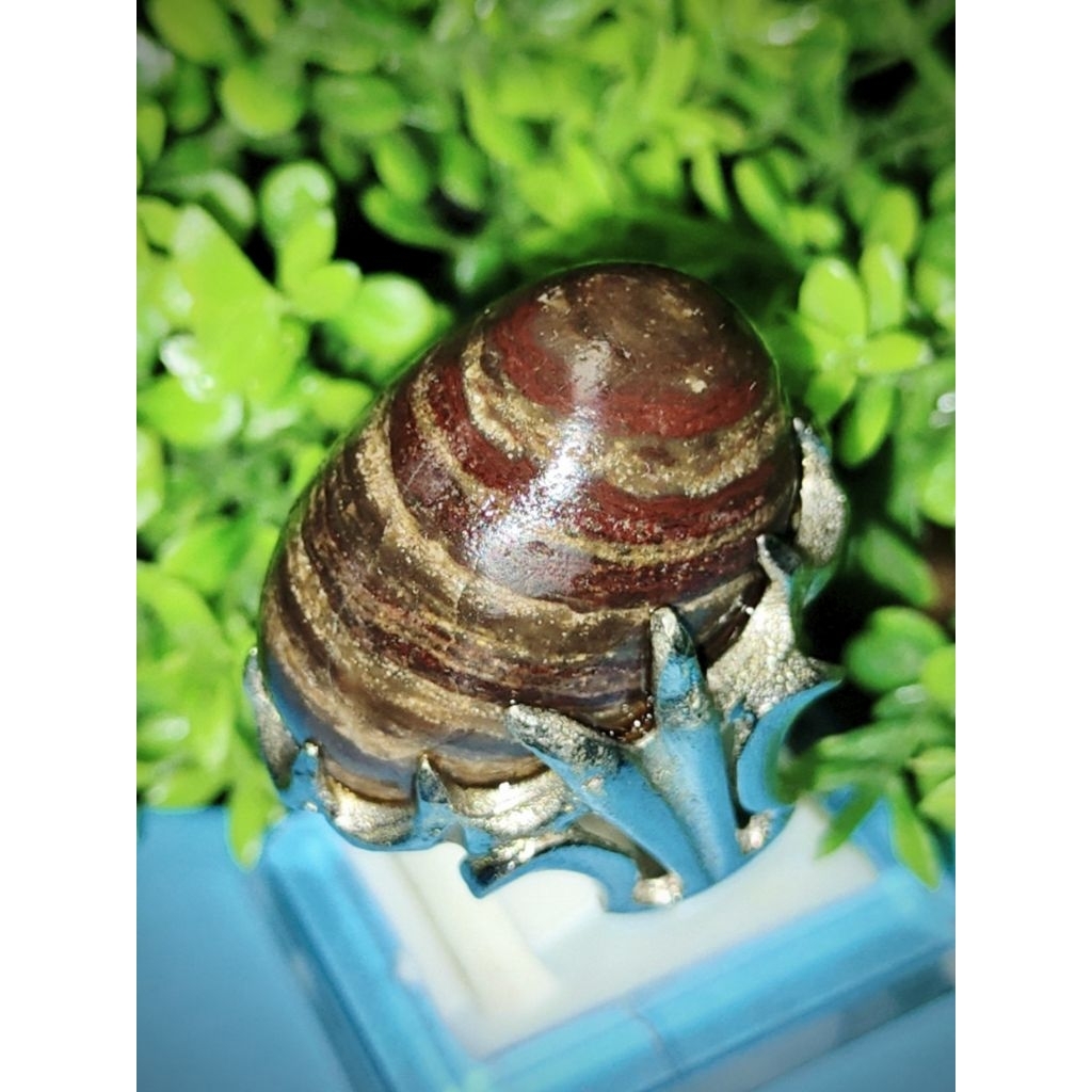 akik Jamal puser kepompong ati ayam ngerikil asli natural alami