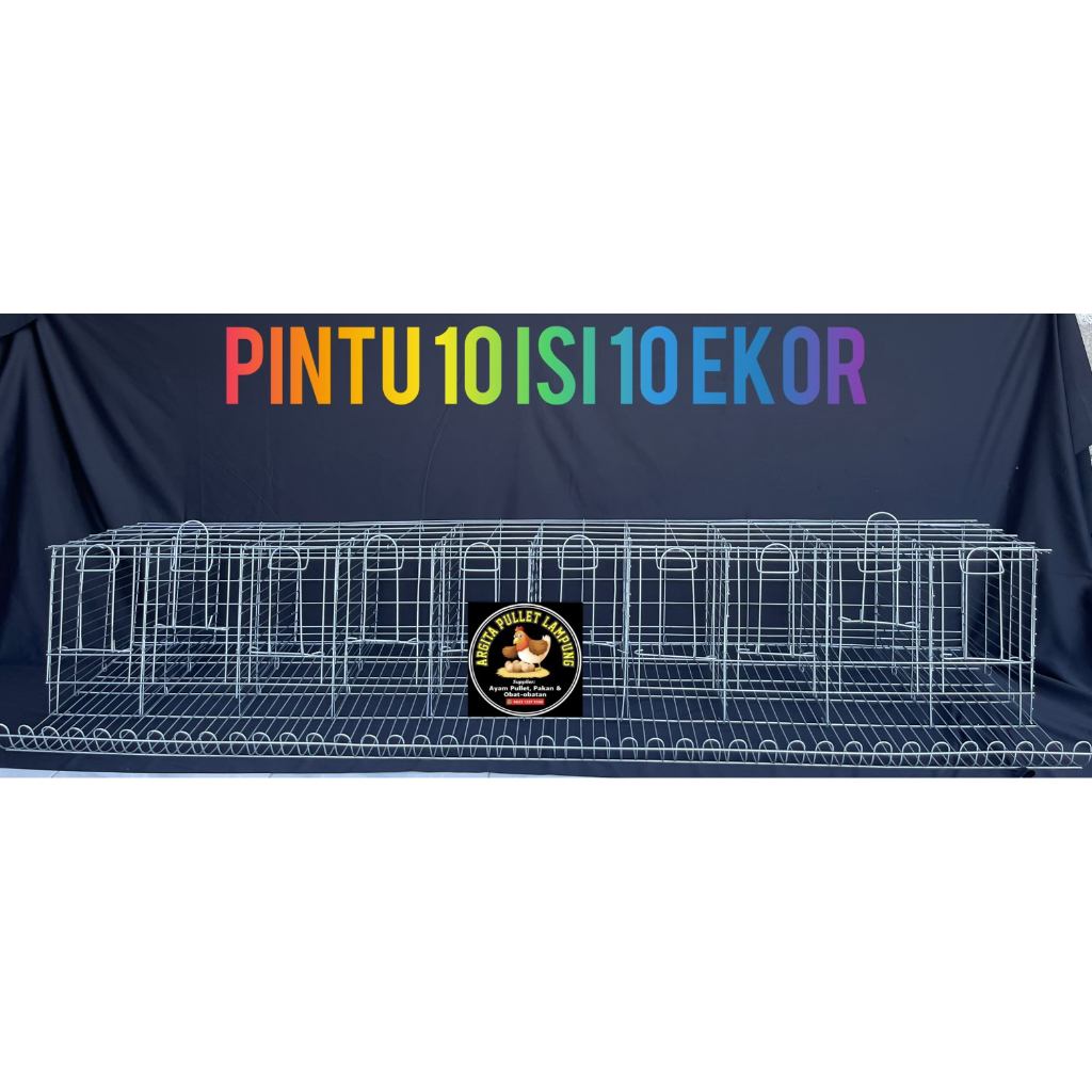 kandang batre ayam petelur pintu 10 isi 10 ekor