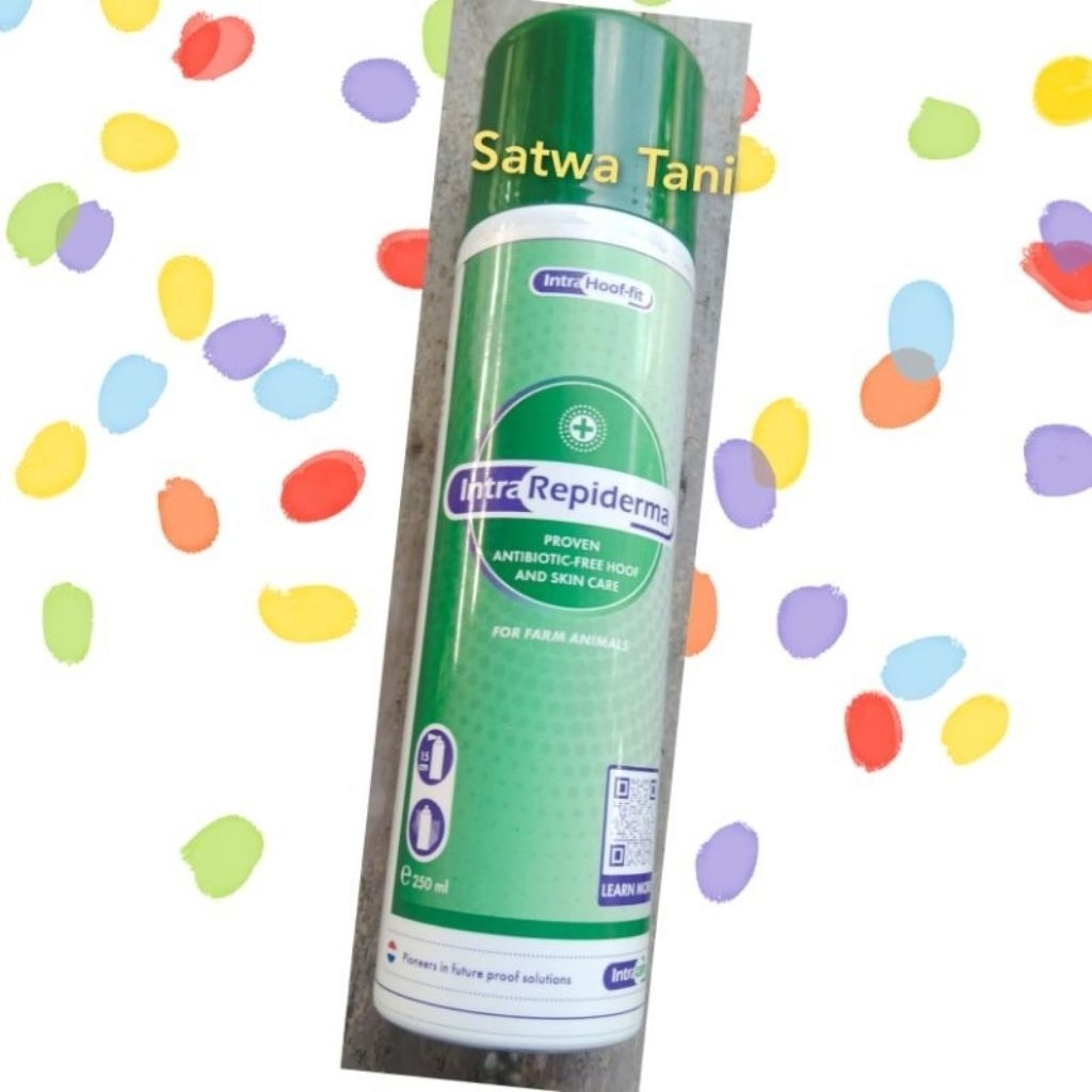 Intra repiderma obat PMK