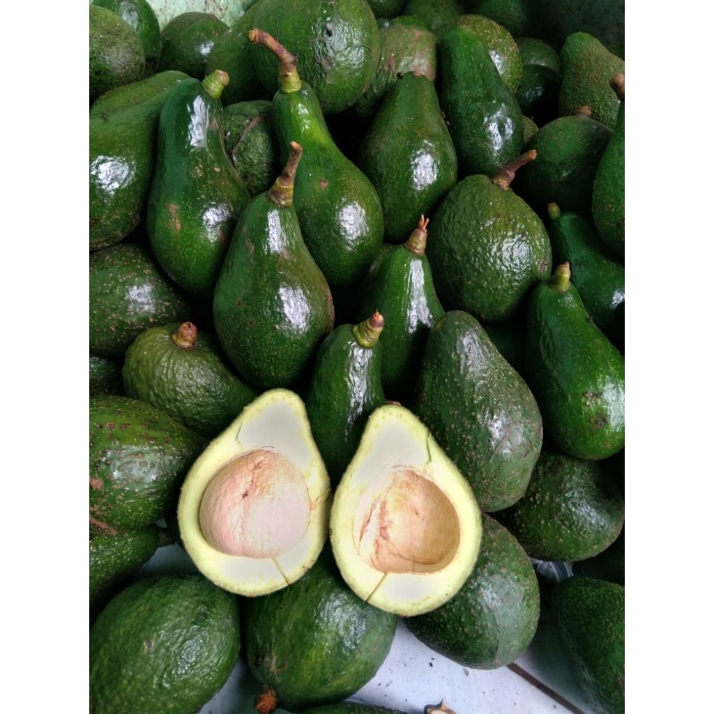alpukat mentega lokal bandung 1kg isi 3-4