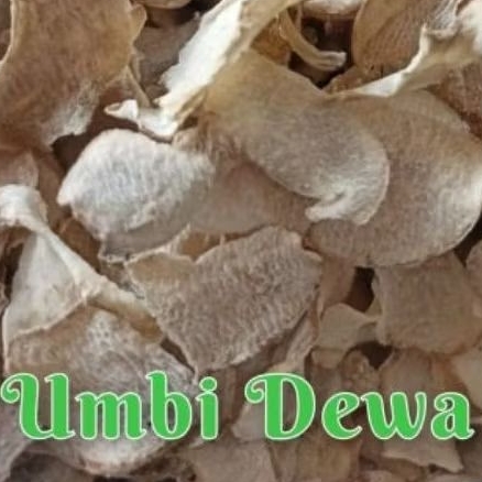 Umbi dewa kering premium 1kg / UMBI DEWA ASLI / UMBI SAMSIT KERING ORGANIK / UMBI SAMSIT / UMBI DEWA
