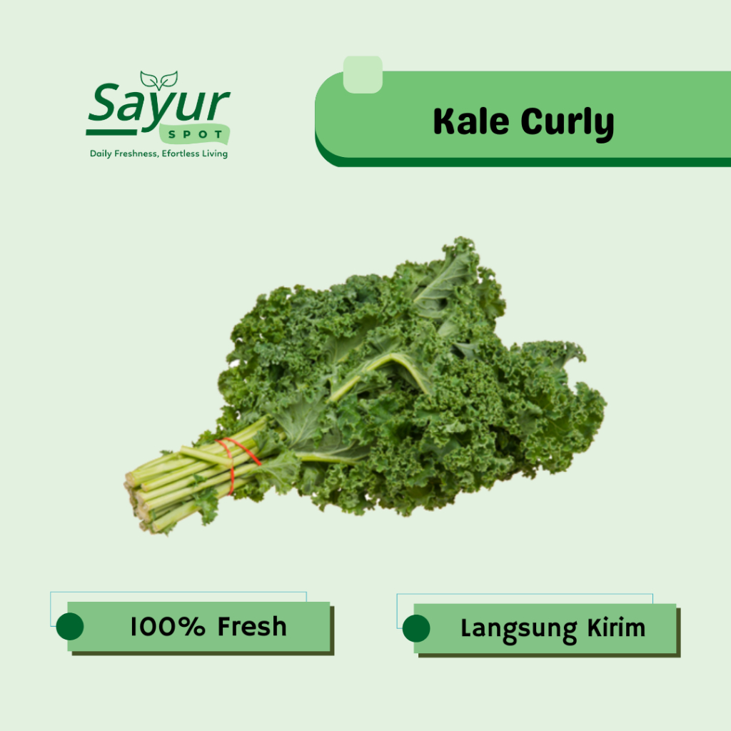 Daun Kale Curly Segar / Sayur Bekasi | Sayur Spot Bekasi