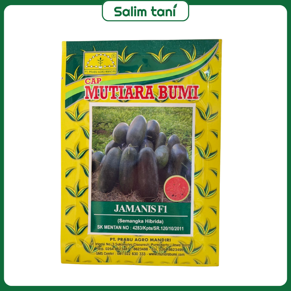 Benih Semangka Inul Hibrida Jamanis F1 20gr - Daging Merah, Tahan Penyakit, Mudah Dirawat