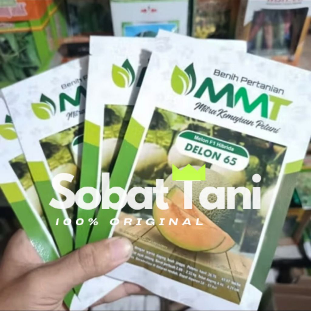 Benih Melon DELON 65/AIKO SARI TANI isi 500butir