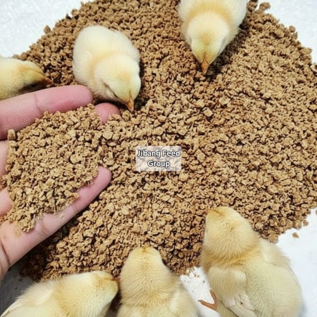 Pakan Ternak Murah Pur Ayam Broiler Khusus Pedaging