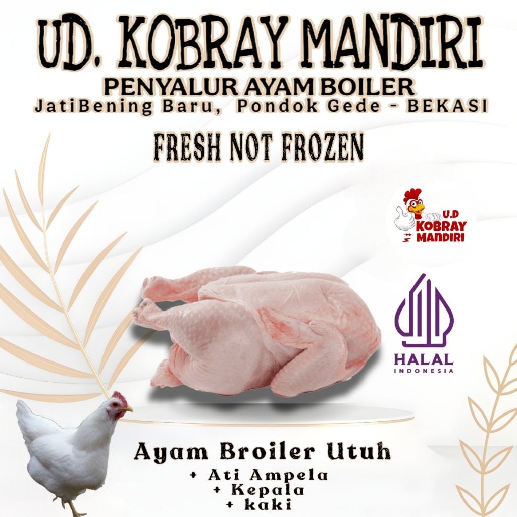 [TERMURAH BEKASI] Ayam Potong Broiler 0,9 - 1 kg [ TIMBANGAN HIDUP ]