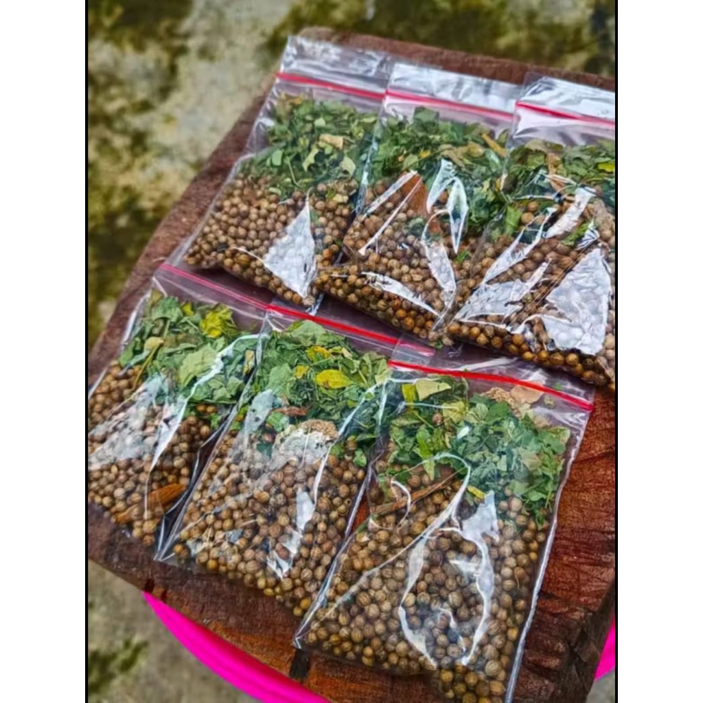 ( 10 pcs ) Wedang Teh Ketumbar Kayu manis Kelor Jahe PREMIUM