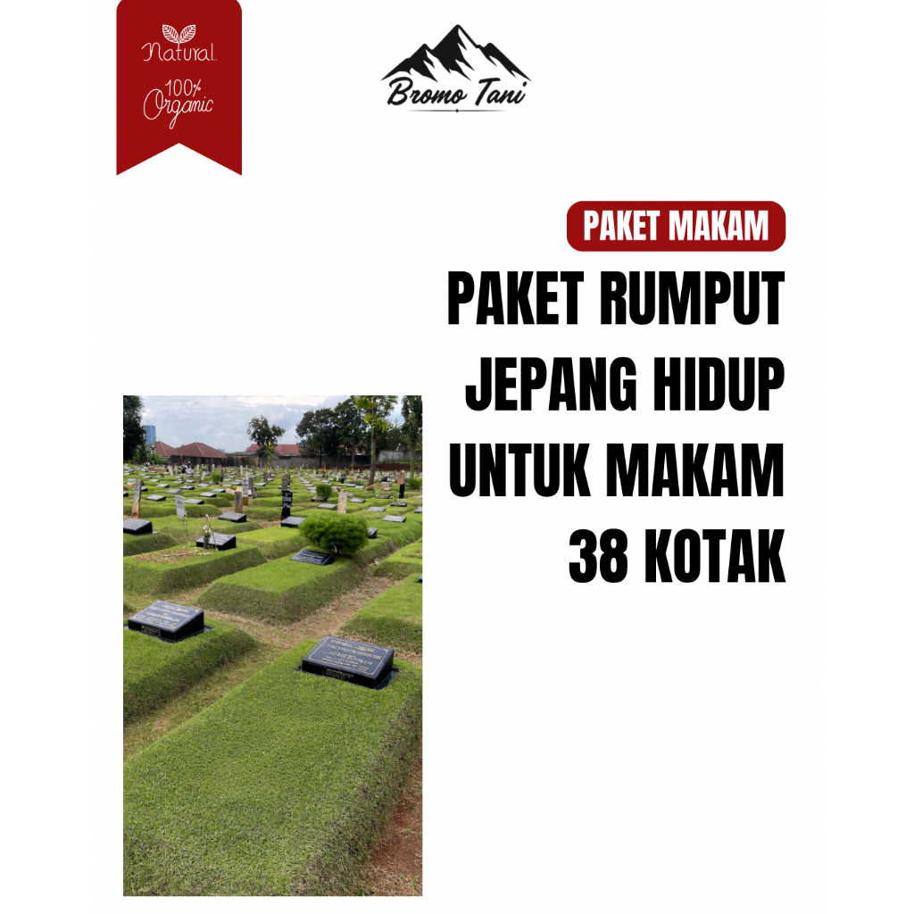 BROMO TANI Paket Kuburan Makam Rumput Jepang Hidup 38 Kotak / Paket Makam / Paket Kuburan