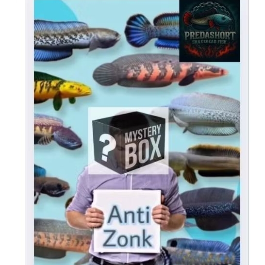 COD mystery box palmas & chana berkualitas anti zonk bergaransi