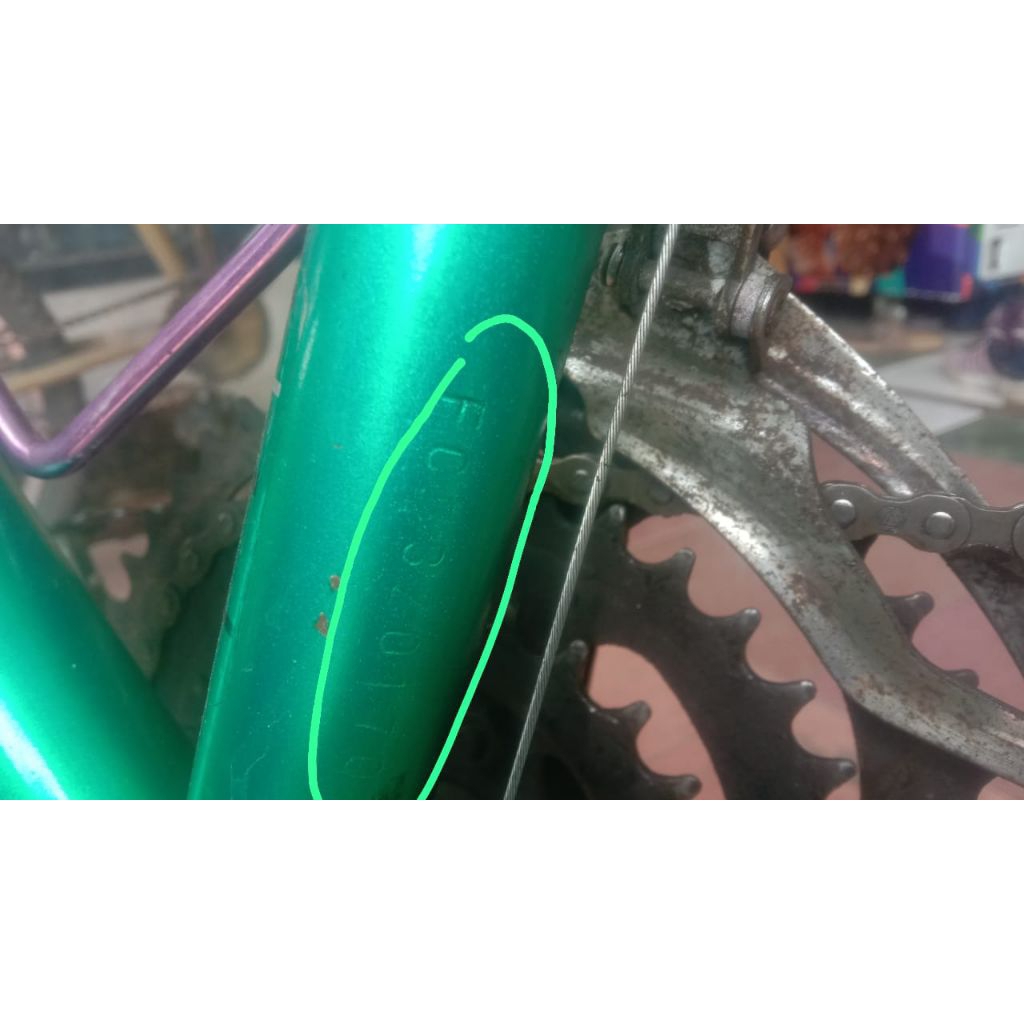 Federal Lady Street Cat