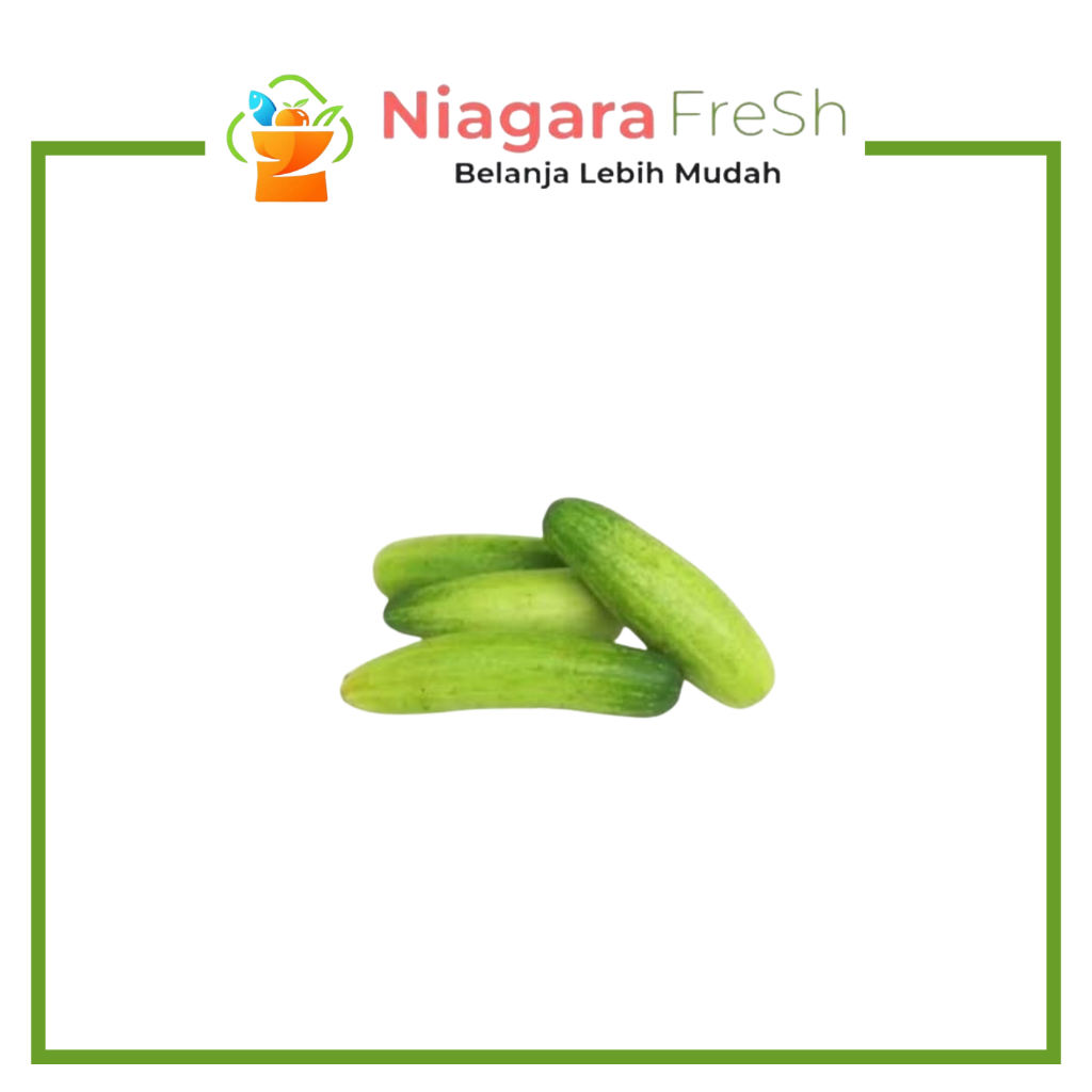 Timun Baby / Mentimun Mini - Segar & Renyah
