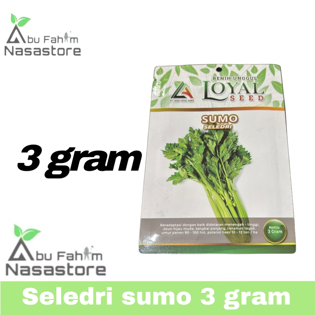 SELEDRI SUMO 3 GRAM (LOYAL SEED)