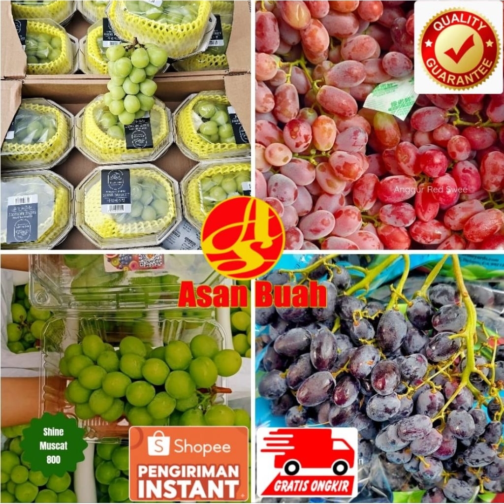 Buah Anggur Hitam Hijau Merah Green Shine Muscat Black Autumn Red Globe Crimson Moondrops Sapphire S