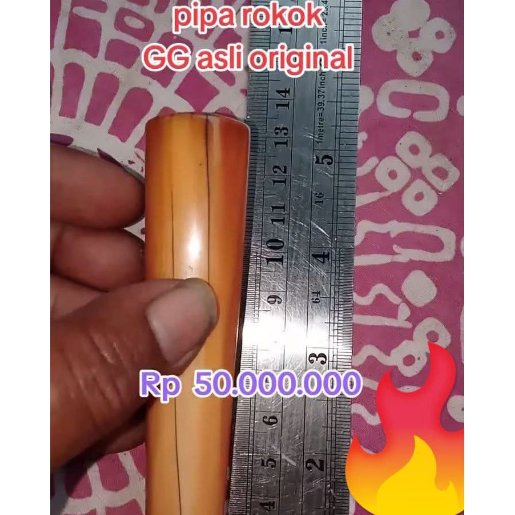 cangklong GG asli original