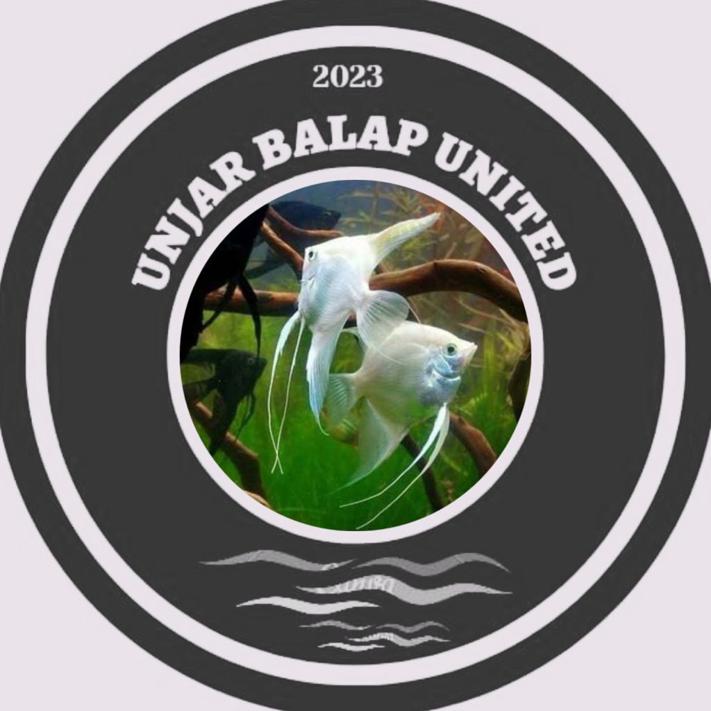 manfish  platynum jumbo accessories aquarium