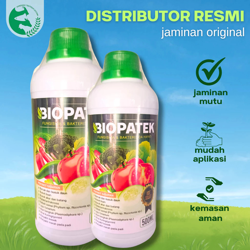 Obat Cabe Premium Atasi Daun Keriting dan Rontok, Obat Daun Cabe Kuning Keriting dan Rontok,