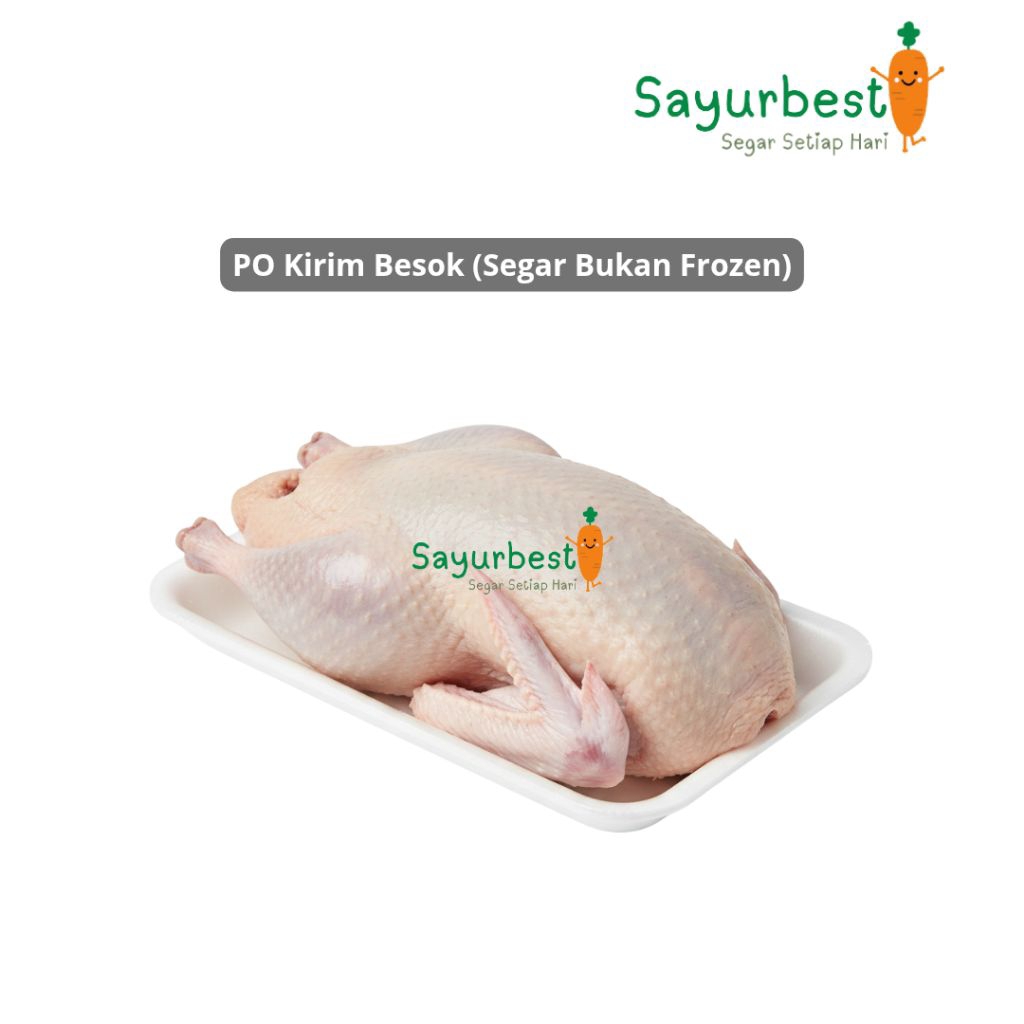 (PO KIRIM BESOK) Bebek Segar Potong 1 ekor