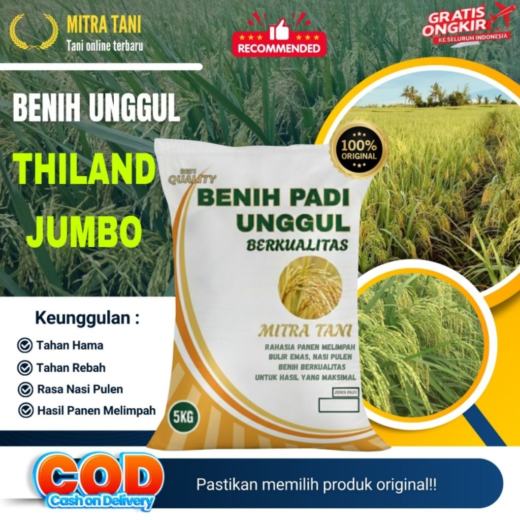 bibit padi THAILAND JUMBO kemasan 5kg