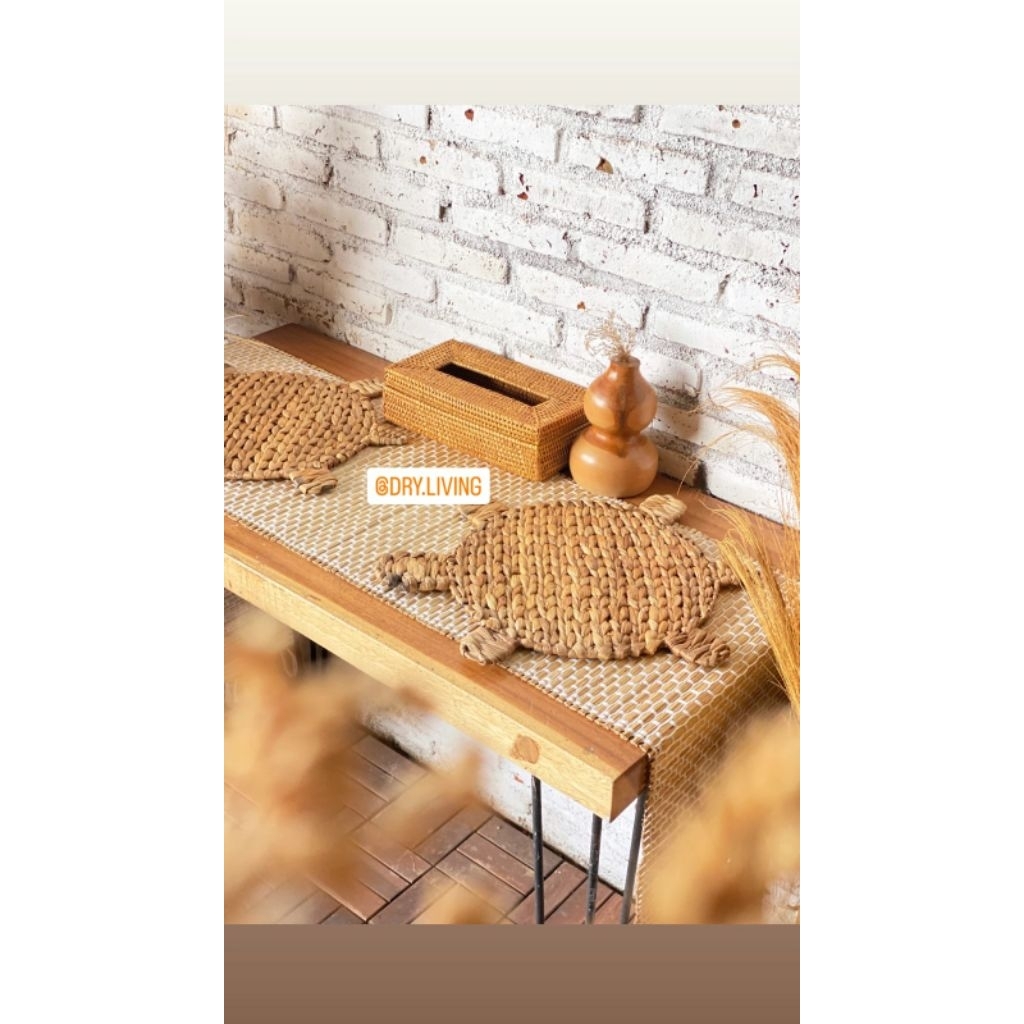 PLACEMAT TURTLE ECENG GONDOK