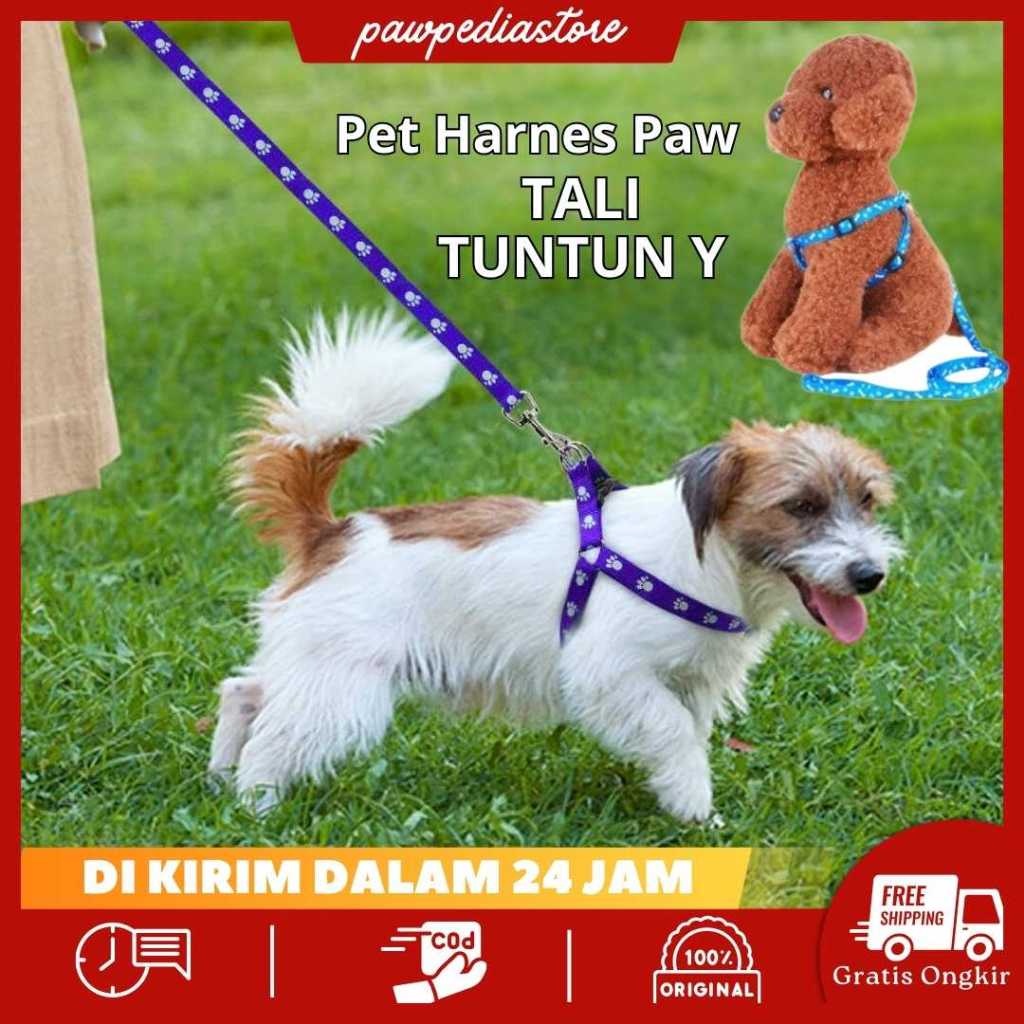 [INSTAN] Pawpedia - Tali Tuntun Murah Kucing Harness Tali Warna Warni Bentuk Y Motif Untuk Hewan Pel