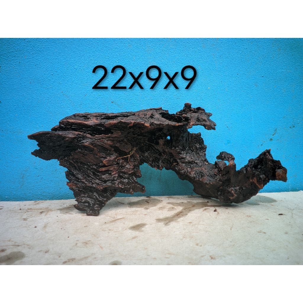 kayu rentek aquarium tenggelam